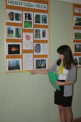 22 декабря состоялось открытие школьного музея Леса